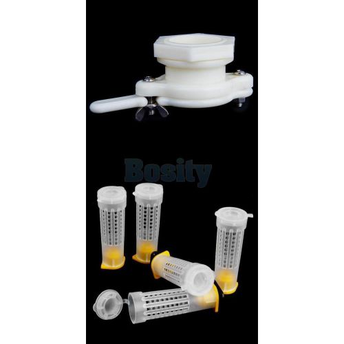 38mm plastic honey gate valve +rearing cupkit queen bee hair roller cages tool for sale