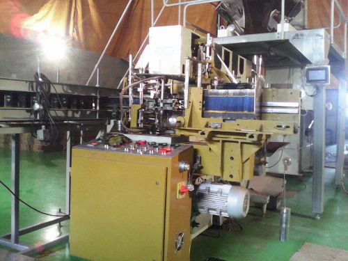 Lined Carton packing machine for Rice &amp; Grains
