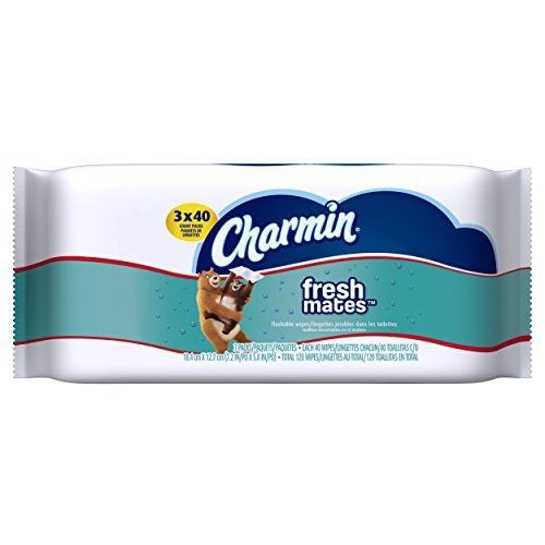 Charmin Freshmates Flushable Wet Wipes, 120 Count (Pack of 8)