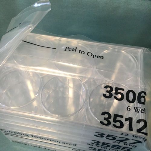 Corning costar 6 well sterile tc-treated cell culture plate ref 3506 pk/5* for sale