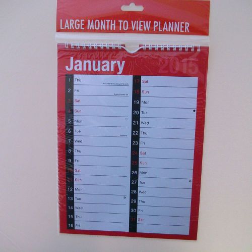 LARGE VIEWING CALENDER/PLANNER 2015