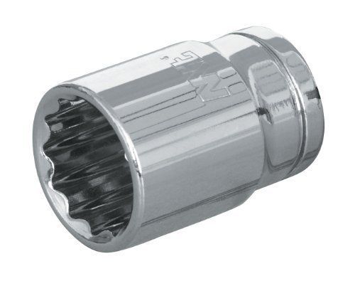 TEKTON 14217 1/2 in. Drive by 3/4 in. Shallow Socket  Cr-V  12-Point
