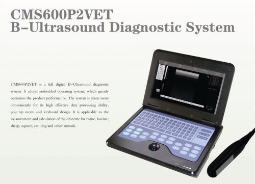 Veterinary Diagnostic Scanner Portable Digital B Ultrasound Micro Convex Probe