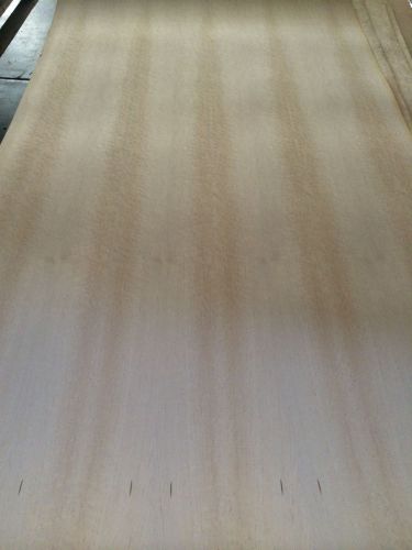 Wood Veneer Birdseye Maple 49x86 1pcs total 10Mil Paper Backed&#034;EXOTIC&#034; 505/5A.6