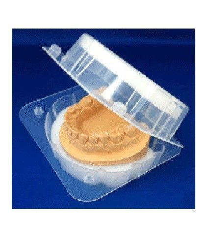 MODEL &amp; DENTURE BOX 10 PIECES