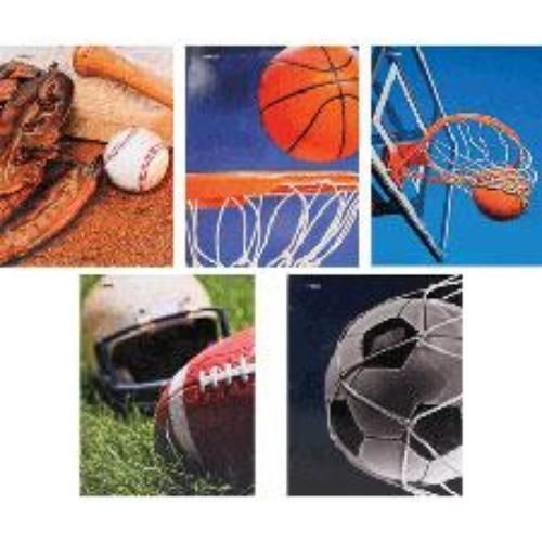 Mead Sports 2 Pocket Portfolio