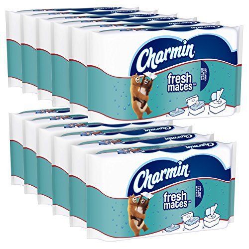 Charmin Freshmates Flushable Wipes, 40 Count (Pack of 12)