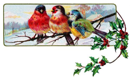 30 Personalized Return Address Labels Christmas Birds Buy 3 get 1 free (zz29)