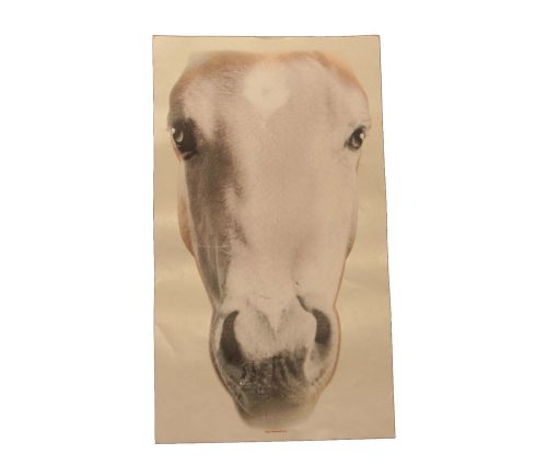 ArtBrands Horse 17940D0 Large Horse Face T Shirt Iron On Heat Transfer