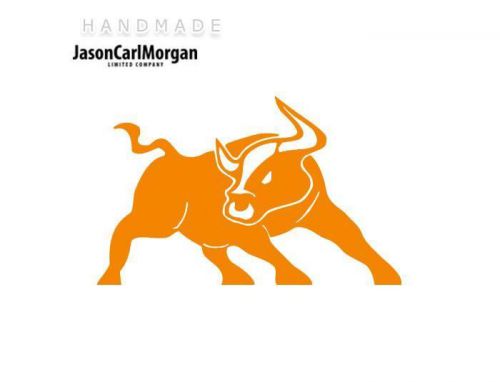 JCM® Iron On Applique Decal, Bull Neon Orange