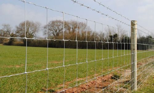 50m roll c8/80/15 stock fence galvanised fencing sheep farm 80cm 0.8m c88015 for sale
