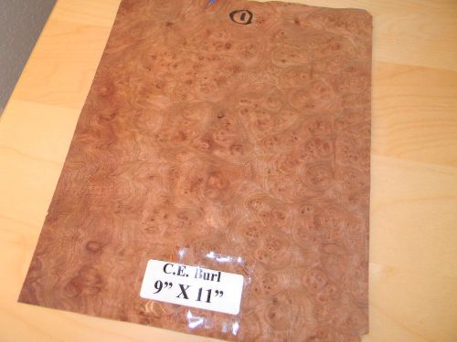 Carpathian Elm Burl wood veneer 9&#034; x 11&#034; with no backing (raw veneer)