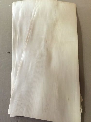 Wood Veneer Maple 14x42 18 Pieces Total Raw Veneer &#034;EXOTIC&#034; MA1 1-7-14