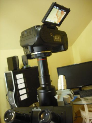 Nikon camera 2 nikon microscope adapter 0.5x &amp; 1.0x lens wild leitz leica iso38 for sale