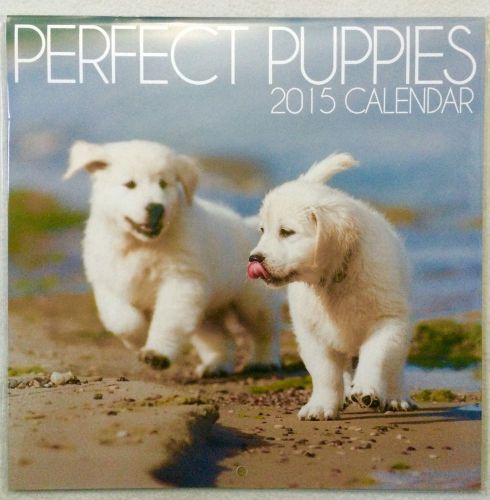 2015 Perfect Puppies Calendar Dogs  Plus Free 2016 Planner Calender