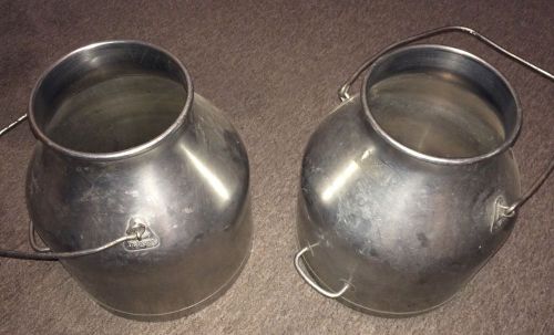 2 stainless steel DeLavel milk buckets