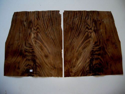 Exotic Wood Veneer - Walnut Crotch/Swirl  # 4