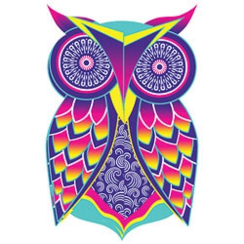 Owl Art HEAT PRESS TRANSFER for T Shirt Sweatshirt Tote Bag Quilt Fabric 218c