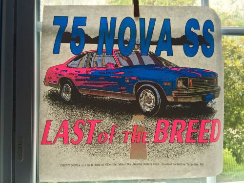 Vintage 75 Nova SS Last of the Breed Iron On Transfer Neon Sunrise Turquoise