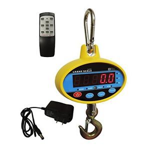 Berman hanging industrial crane scale 300 kg / 600 lb with remote control for sale