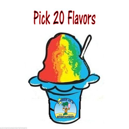 Shaved Ice Sno Cone Flavor Syrup Mix Concentrate Snow Kone Mix  ***20 PACK** 1oz