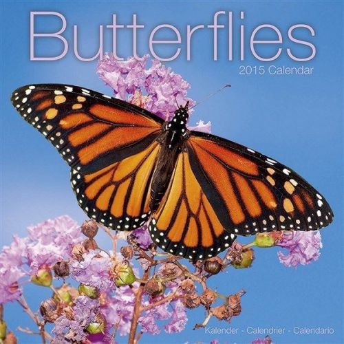 NEW 2015 Butterflies Wall Calendar by Avonside- Free Priority Shipping!