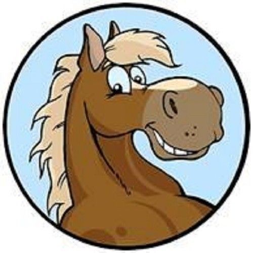 30 Custom Cartoon Horse Personalized Address Labels