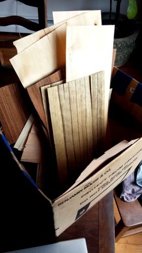 Lot of Exotic Wood Veneer Scraps for Marquetry or Woodburning, Great Species!