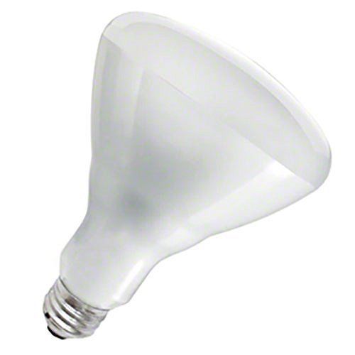 Pinch (HLAMP-W)  Heat Lamp Light Bulb - White