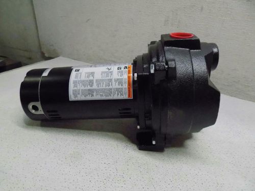 Ace 1-1/2hp Cast Iron Sprinkler Pump (ESP-150A)