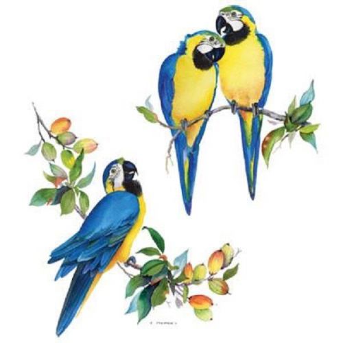 Blue Gold Macaw Parrot HEAT PRESS TRANSFER PRINT for Shirt Sweatshirt Fabric 208
