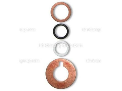 Kit 6IP O-Ring and washers for plunger bolts