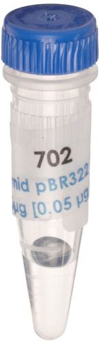 Edvotek 702 Plasmid pBR322, 10 micrograms