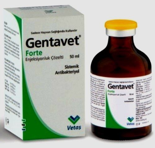 Antibacterial gentavet-forte 10% 50ml injectable solution gentamycin sulphate for sale