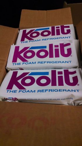 Koolit Foam Refrigerant Blocks - Ice Pack - Case of 12 - New