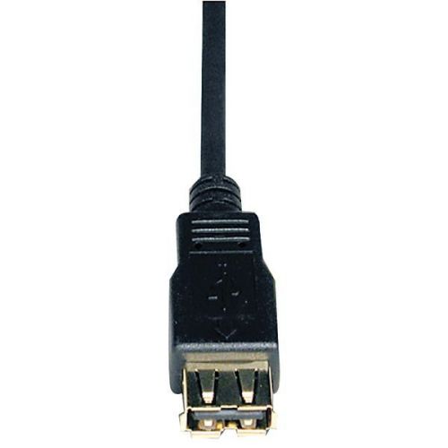 Tripp Lite U024-010 A-Male to A-Female USB 2.0 Extension Cable - 10ft