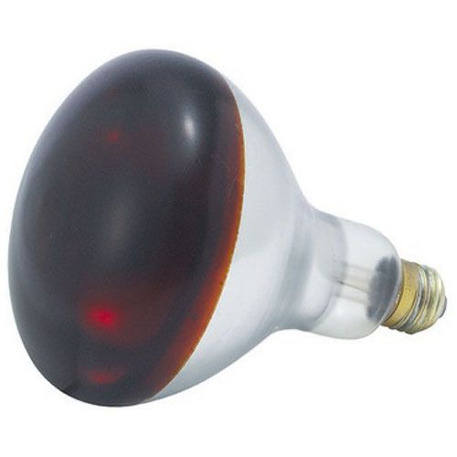 Winco EHL-BR Red Bulb for Heat Lamp, EHL-2, 250W