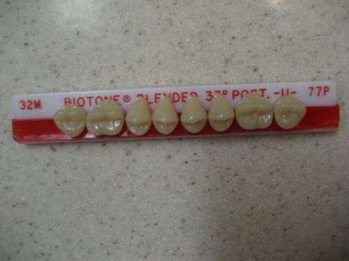 Dentsply Trubyte BioTone 33° Upper Posterior Mould 32M / 77P Dental Teeth
