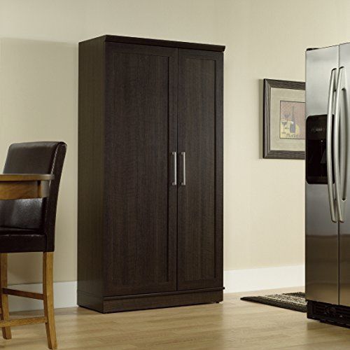 Sauder Storage Cabinets Home Plus Storage Cabinet with Dakota Oak Finish New