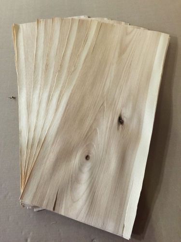 Wood Veneer Hickory 12x30 22 Pieces Total Raw Veneer &#034;EXOTIC&#034; HI2 1-7-14