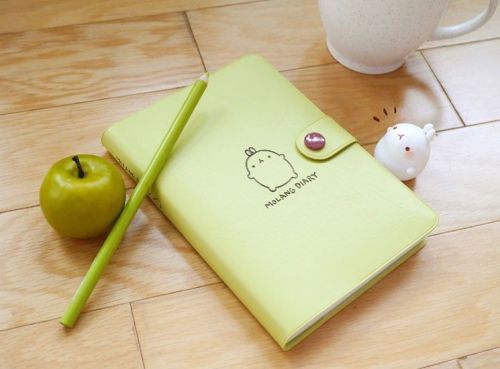 MOLANG Lovely Cute rabbit Bunny Apple green Any year Perpetual Diary ver.2