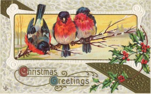 30 Personalized Return Address Labels Christmas Birds Buy 3 get 1 free (zz28)