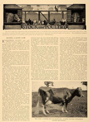 1907 article purchasing dairy cow auld sando korsmeyer - original cl5 for sale