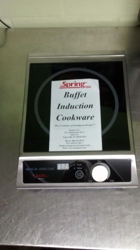 Spring usa buffet induction range for sale