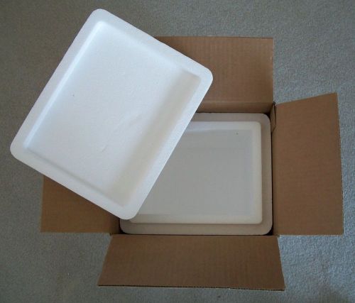 Thick styrofoam insulated shipping box 11&#034; x 10&#034; x 9&#034;--cold packing container for sale