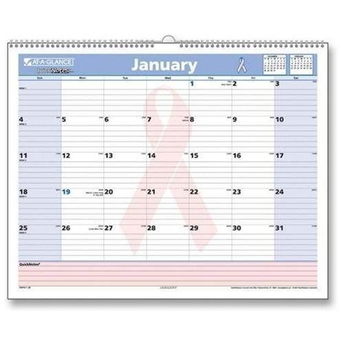 AT-A-GLANCE® QuickNotes Special Edition Wall Calendar, 15 x 12, 2015