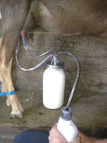 The Fruit Jar Milker milking machine goat sheep cow rechargeable  vacuum pump