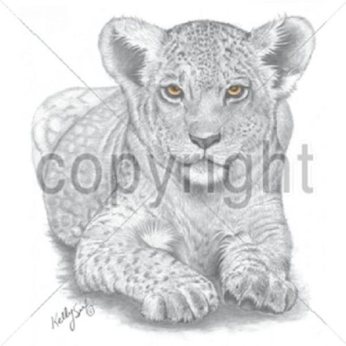 Lion cub portrait heat press transfer for t shirt tote sweatshirt fabric 296a for sale