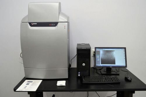 Syngene G:BOX Chemi XT4 Gel Doc Fluoresence Imaging Analysis w/ GeneSnap
