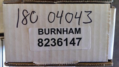 Burnham 8236147 Pilot Assembly (HIS) for RV3-RV7 Boilers NEW!!